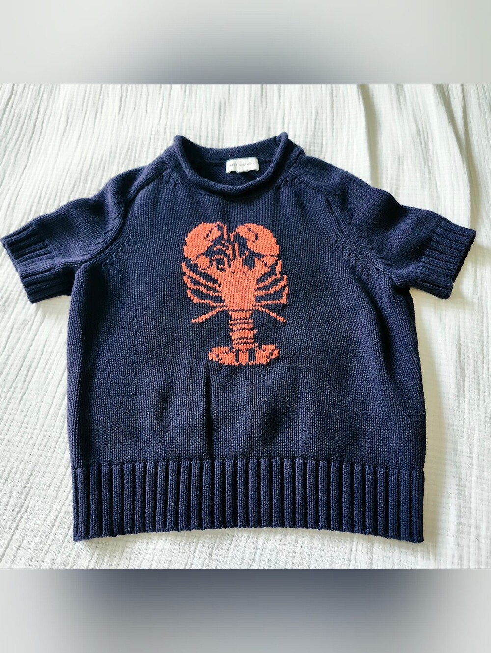 Navy Crewneck Sweater with Red Lobster Motif – Nautical Style